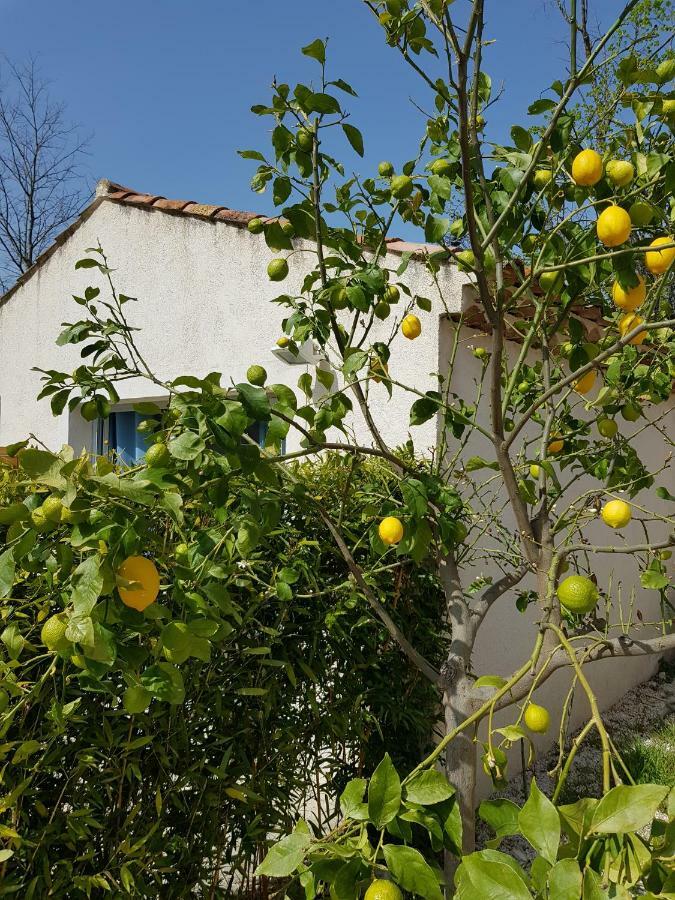Le Mas De La Calade Bed and Breakfast Aix-en-Provence Zewnętrze zdjęcie